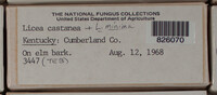 Image Associated With the Occurence